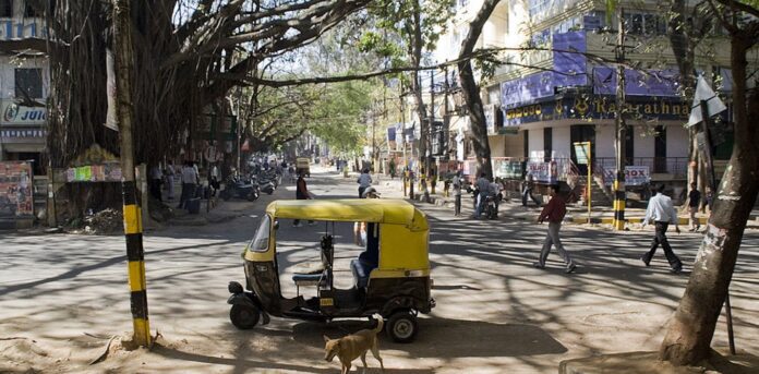 when-cities-had-been-natures-haven-a-story-from-bangalore.jpg When cities had been Nature’s haven: a story from Bangalore