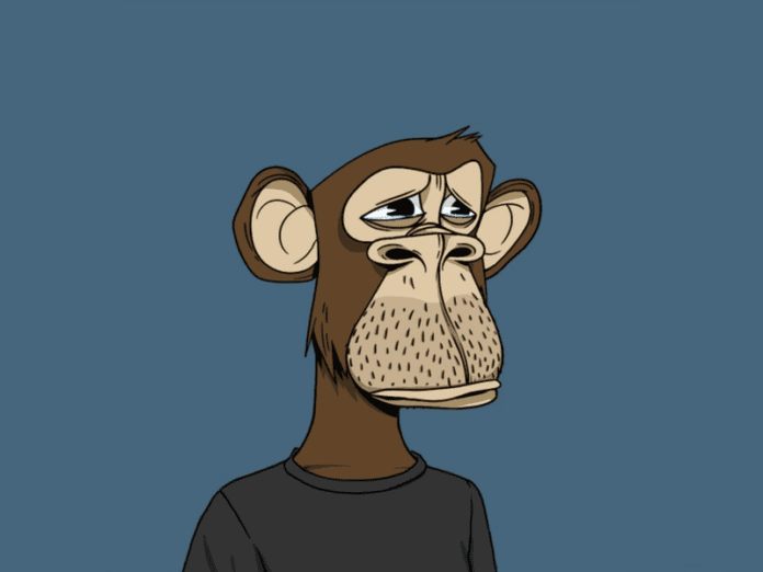 collectors-are-bored-of-apes-and-dont-are-making-an-attempt-to-pay-royalties.png Collectors Are Bored of Apes and Don’t Are making an attempt to Pay Royalties